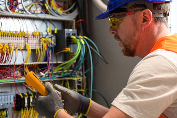 Best Electric Panel Repair  in Hugo, MN
